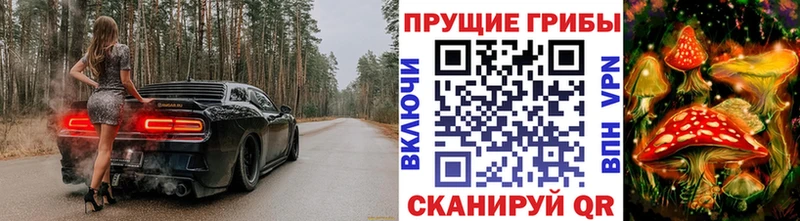 Галлюциногенные грибы Magic Shrooms  наркота  Киселёвск 